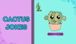 cactus jokes