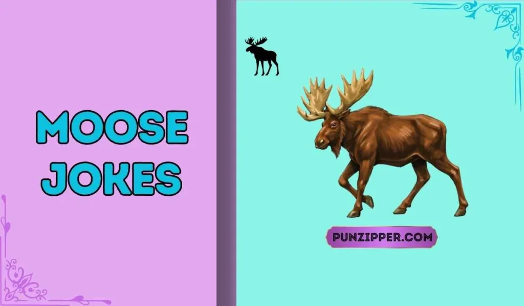 moose jokes