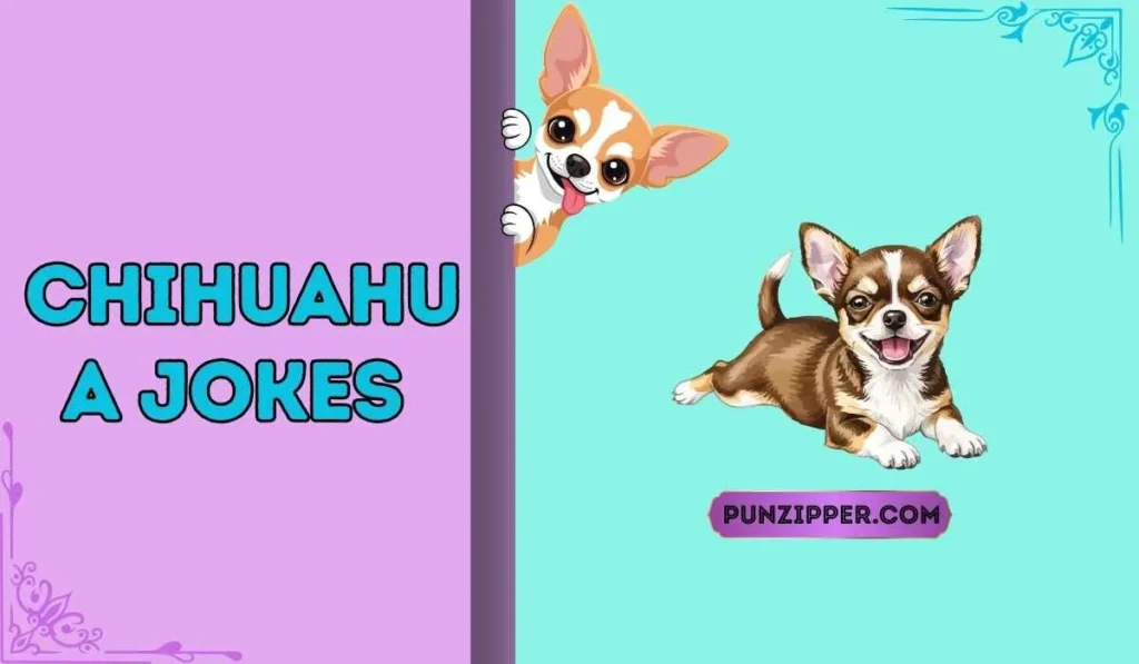 Chihuahua jokes