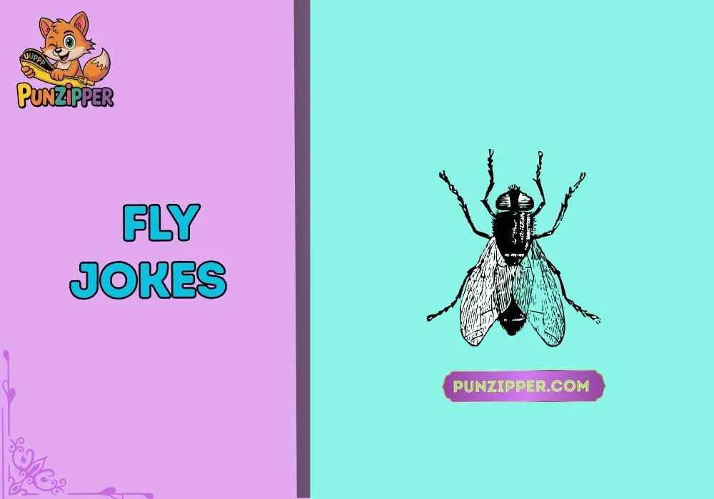 fly jokes