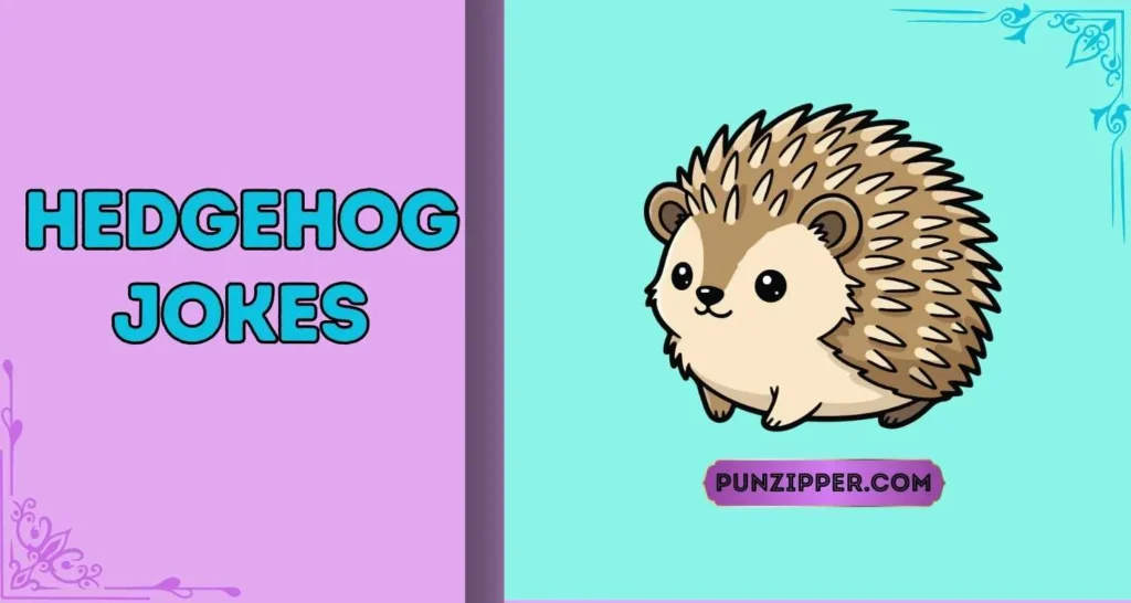Hedgehog Jokes