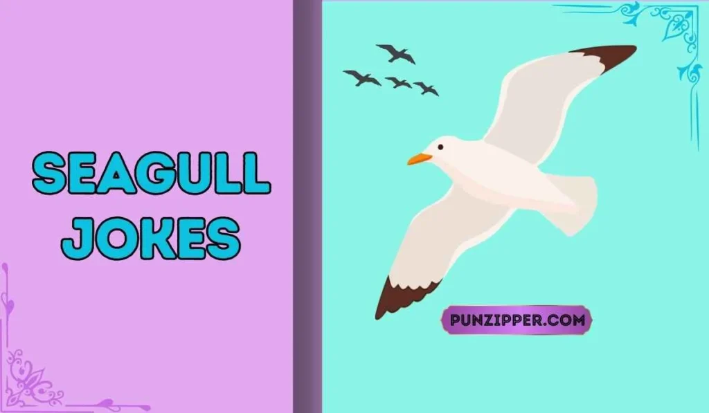 seagull jokes